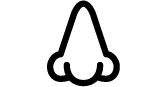icon d'un nez