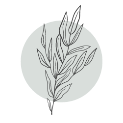 illustration d'une feuille noire sur un fond gris/vert clair.
