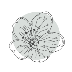 illustration d'une fleur noire sur un fond gris/vert clair.