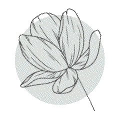 illustration d'une fleur