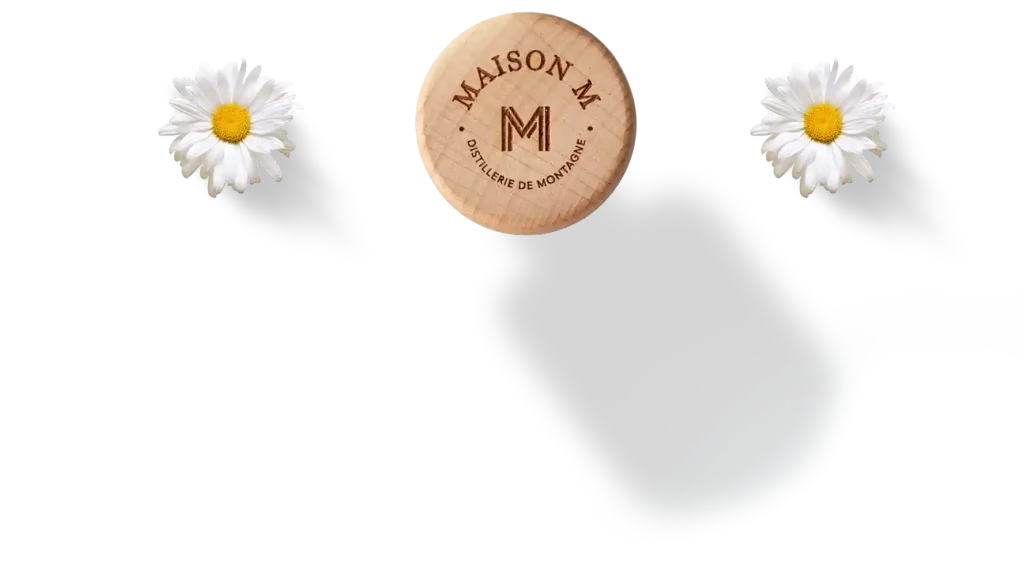marguerite et bouchons maison m