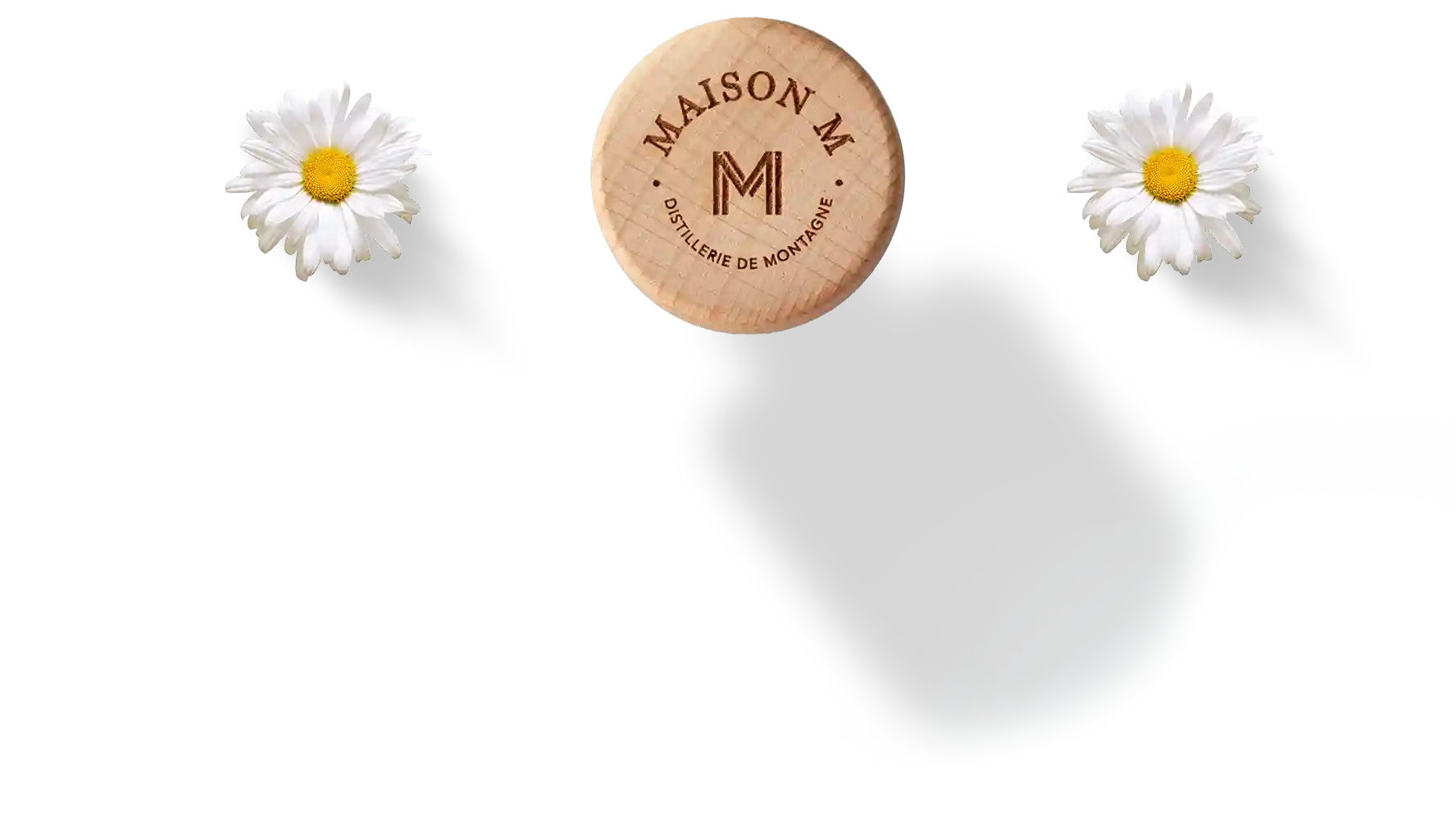 marguerite et bouchons maison m