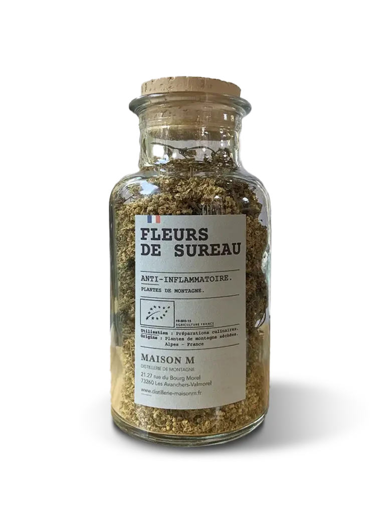 photo de l'infusion Maison M fleur de sureau