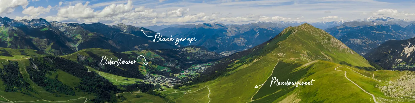 Moutains of Valmorel